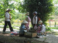 vn 206.jpg (1136x852)